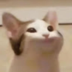 Meet your Posher, Kaitlynn